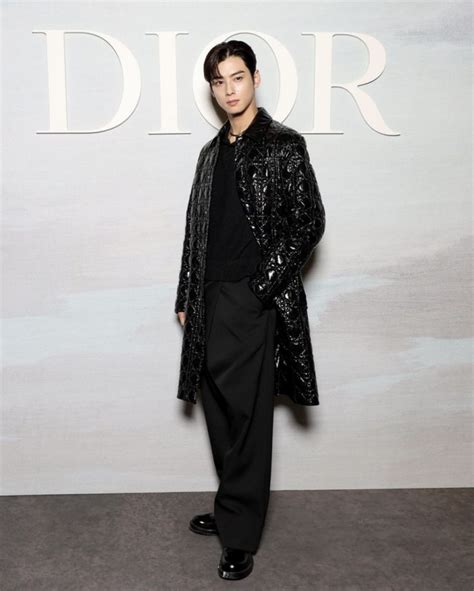 cha eun woo dior ambassador